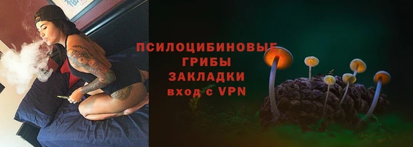 spice Арсеньев
