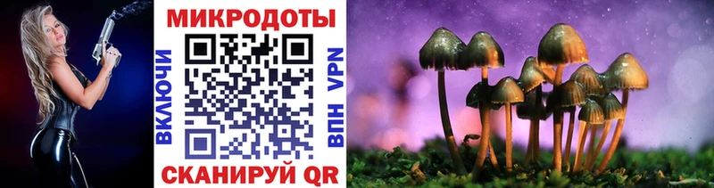 где купить   Сысерть  Псилоцибиновые грибы ЛСД 
